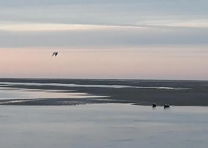 Vue exceptionnelle sur la Baie de Somme